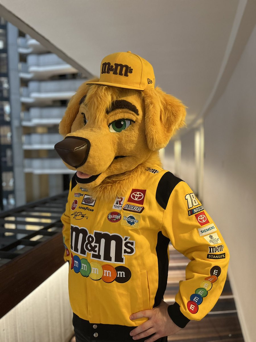 Chase ➡️ LVFC tweet media