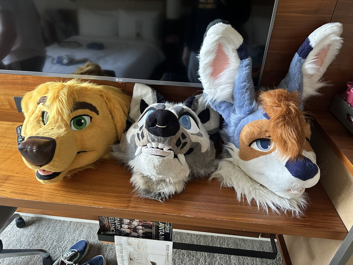 Chase ➡️ LVFC tweet media