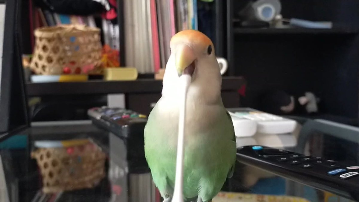 それでは聞いてください
「北酒場」