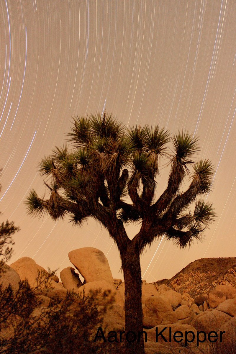 Joshua Tree at night.  One of the photos available.  🙂
⬇️
fineartamerica.com/profiles/1-aar…