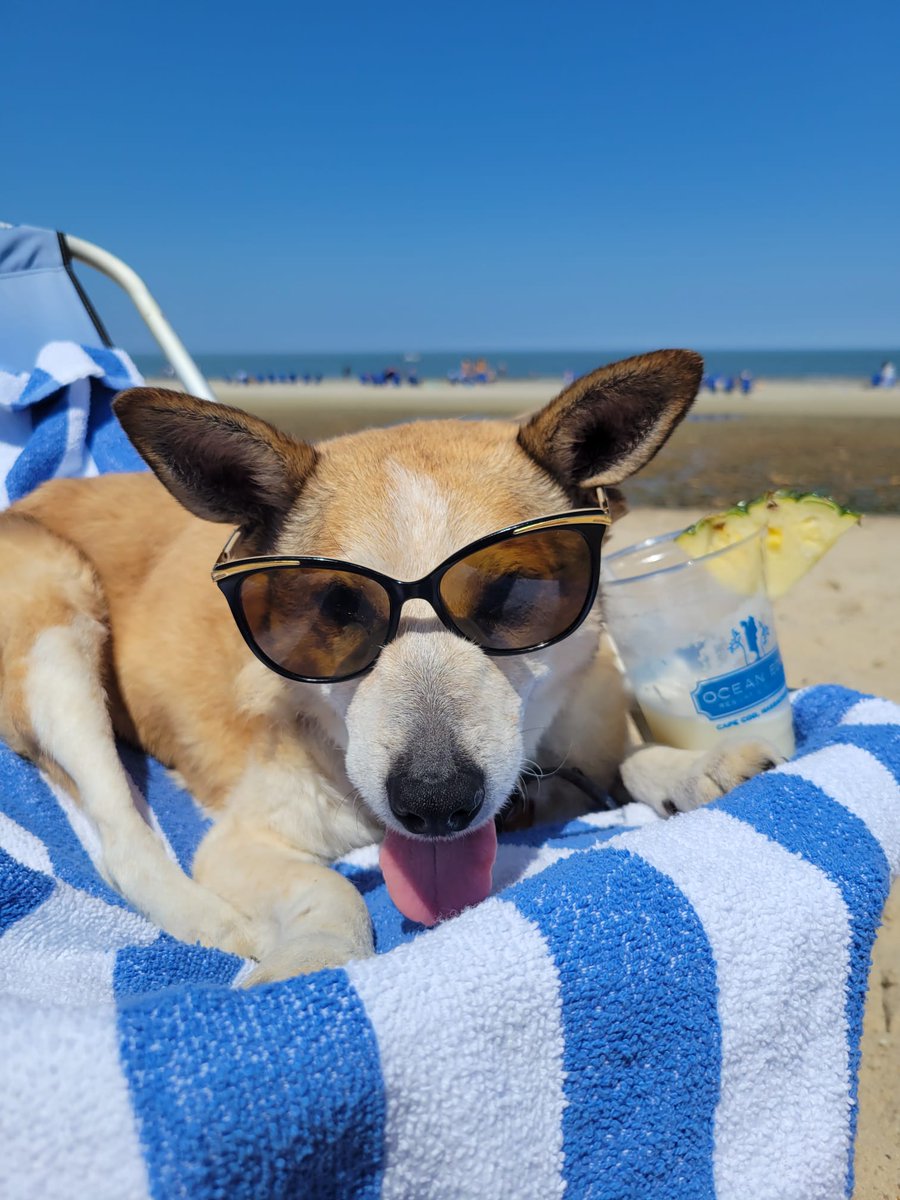 Sandy #BestAtHomeContest