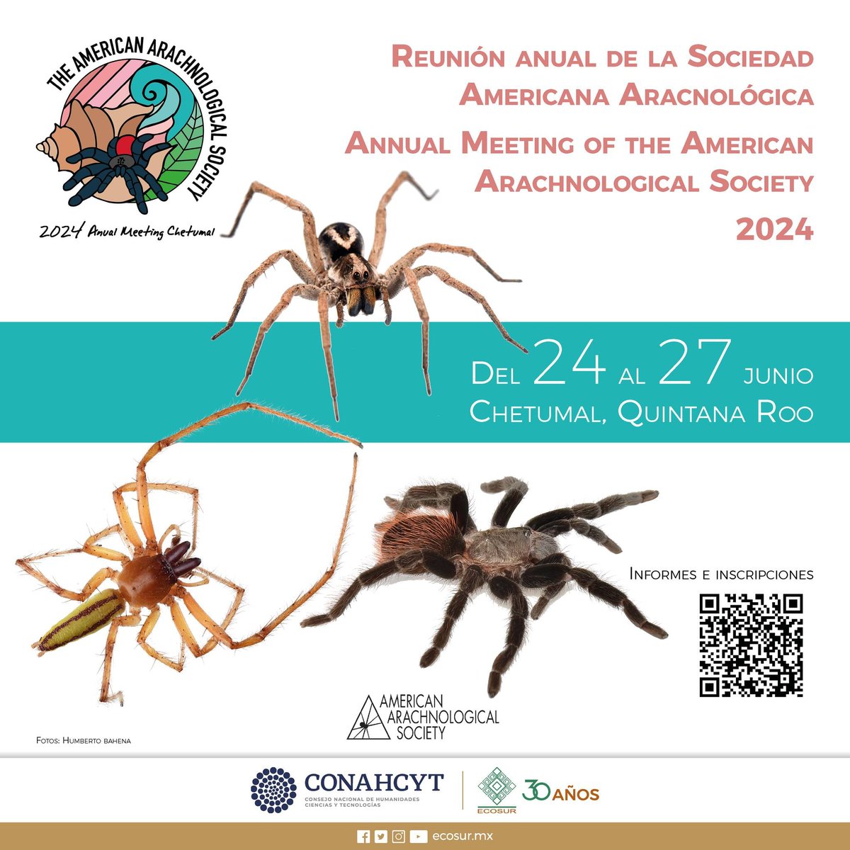 Registration deadline has been extended for AAS 2024 in Chetumal, Mexico! See you soon in the Maya world. - AAS 2024 committee 🕷️🕸️ docs.google.com/forms/d/e/1FAI…