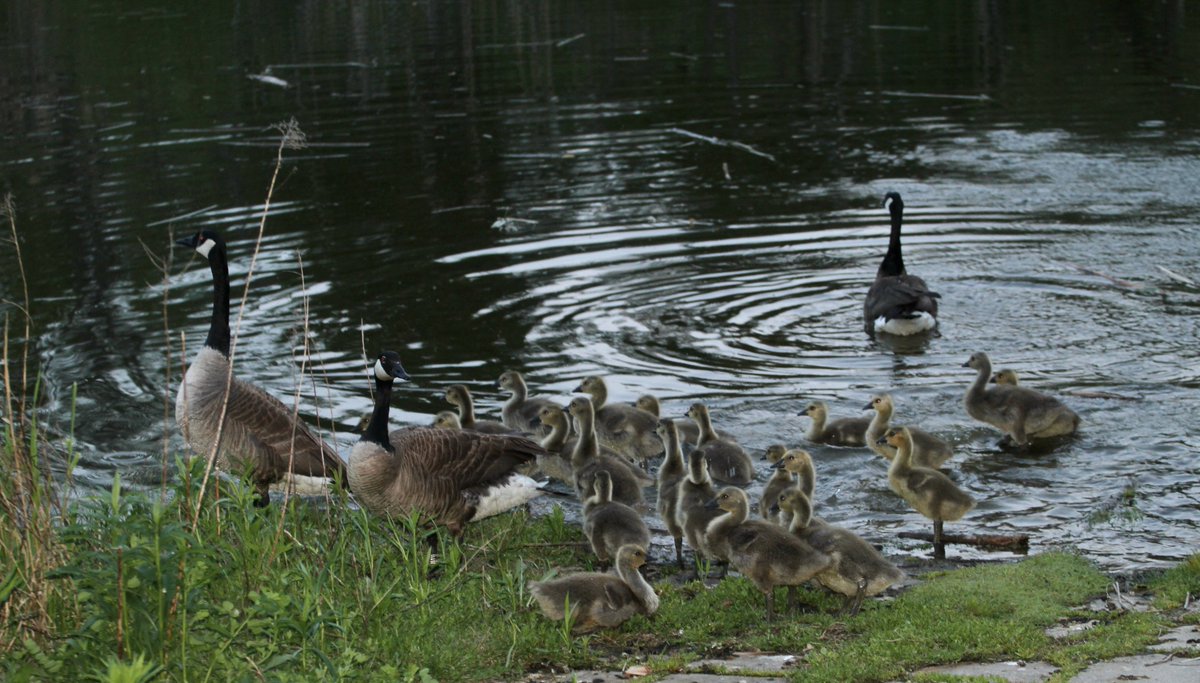 John@TheNews tweet media