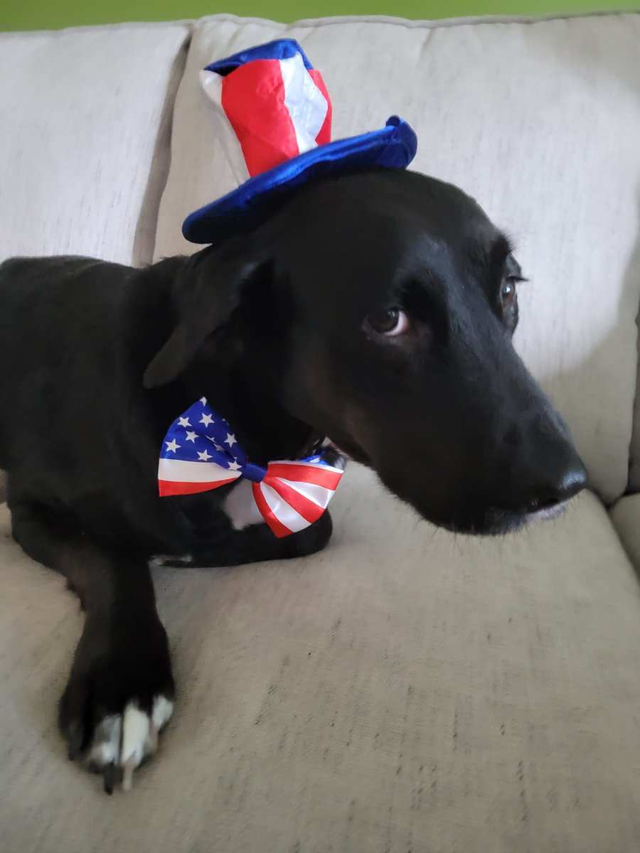 Peanut - All American #BestAtHomeContest