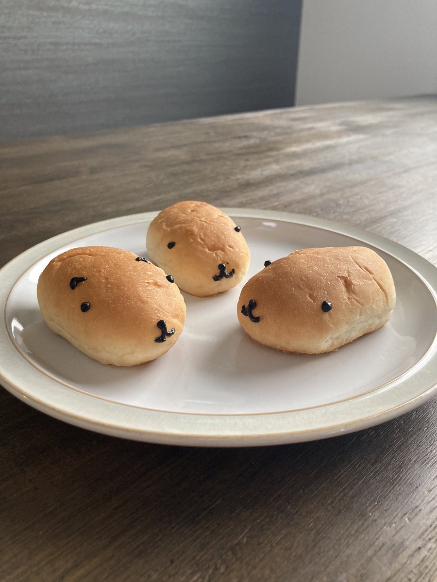 カピバラさん専用 (@kapisuki179421) / Posts / X