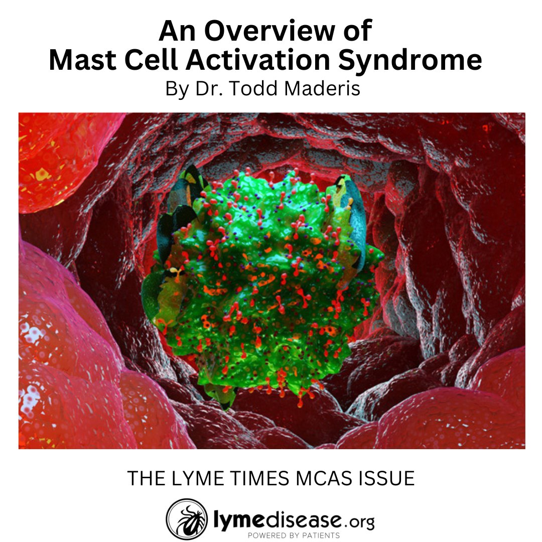 An Overview of Mast Cell Activation Syndrome. #MCAS, an inappropriate release of chemical mediators, can cause inflammatory symptoms anywhere in the body. By @dr_todd lymedisease.org/members/lyme-t…