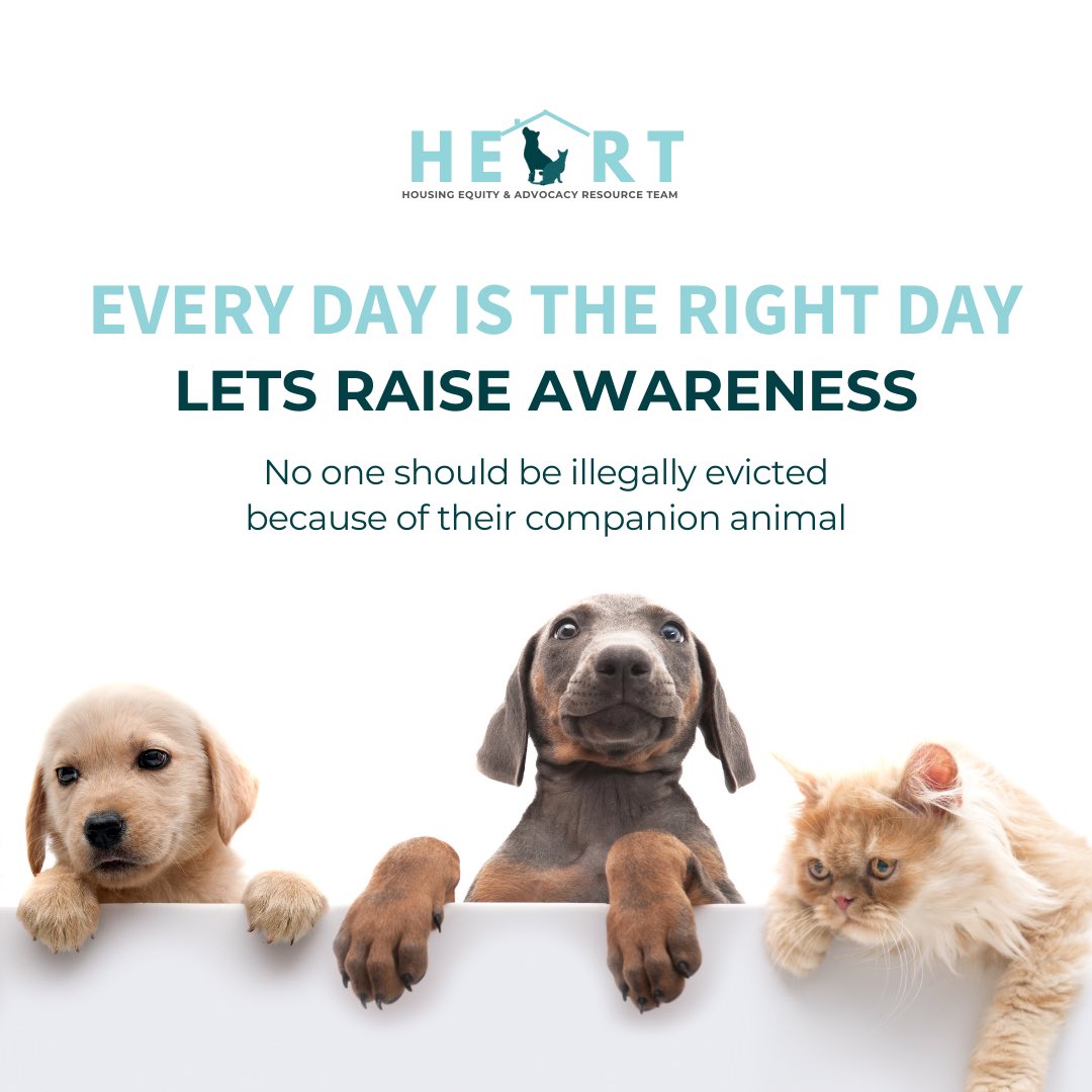 Let's raise awareness and stand up for the rights of renters and their beloved companion animals.

Reach out to learn how you can support our mission and make a meaningful impact in your community.

#HeartLA #HousingEquity #CompanionAnimalRights #RaiseAwareness #Advocacy