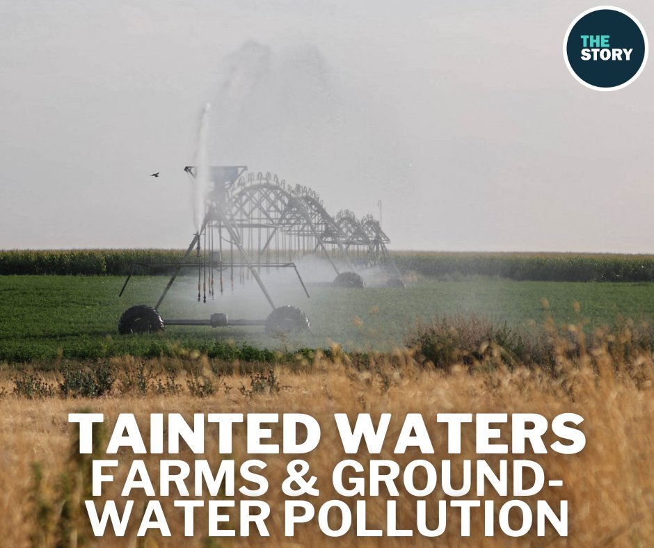 Groundwater pollution from farming has seeped into the wells that families rely upon in eastern Oregon's Lower Umatilla Basin. The state has the power to step in, so why hasn't it?

Watch the full report tonight on #TheStoryKGW at 6:30 p.m. (youtube.com/live/Bw4qqlNW9…)
