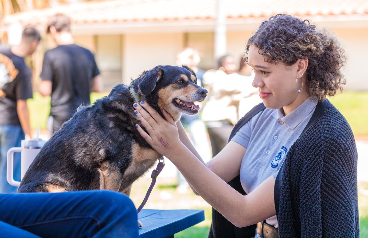 Villanova Prep tweet media