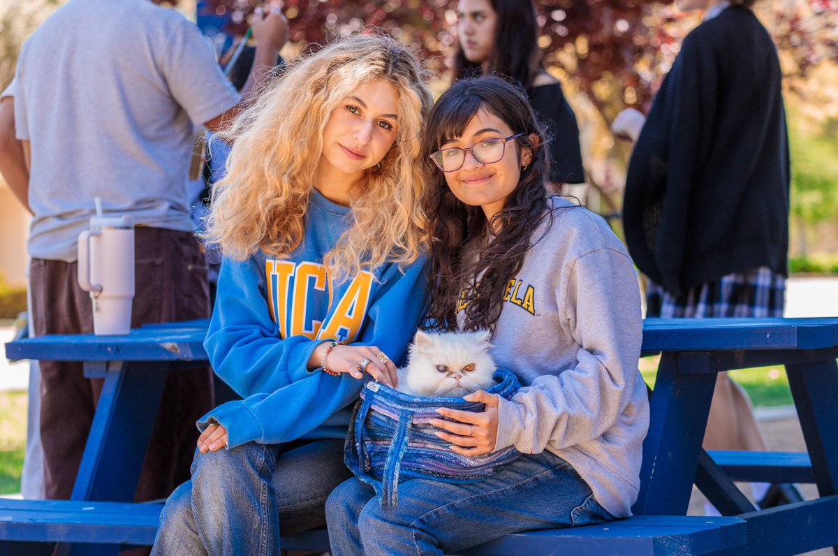 Villanova Prep tweet media