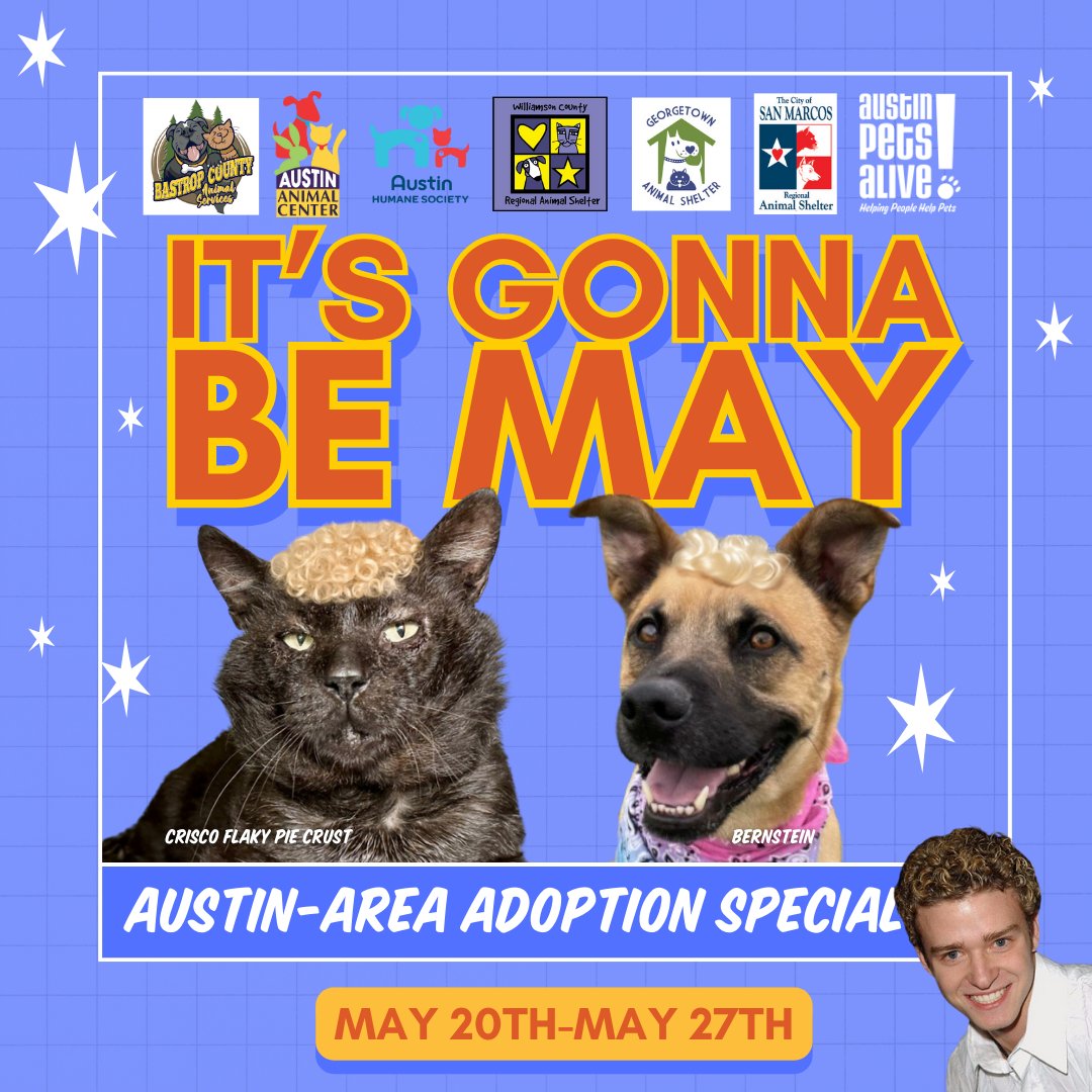 It’s tearin’ up our hearts to see shelters full of pets, so we’re joining forces with our #atx fur-iends to get dogs and cats into loving homes! 💜 🐾 Check out our recent blog to learn what specials each shelter will be offering May 20th-27th bit.ly/3UDwAZX