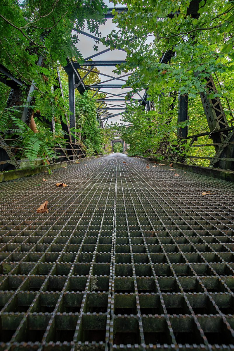 An old bridge near what used to be the Youngstown Sheet and Tube complex in Youngstown, Ohio, slowly being swallowed by Mother Nature.