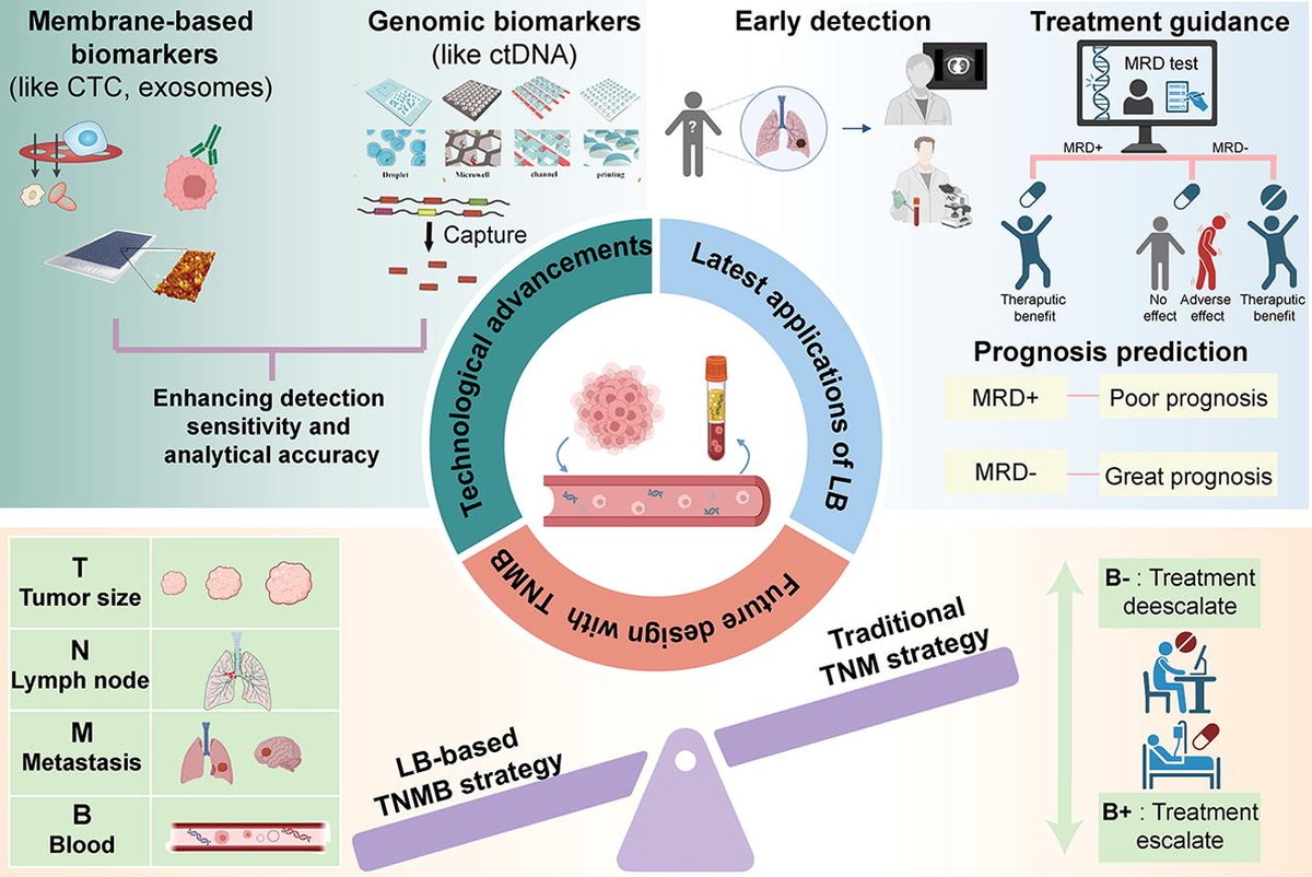 📜Development of new techniques and clinical applications of liquid biopsy in lung cancer management
✏️David P. Carbone from Ohio State University and Fan Yang from Peking University People’s Hospital
@isciverse @GO2forLungCancr #lungcancer #Liquidbiopsy
doi.org/10.1016/j.scib…