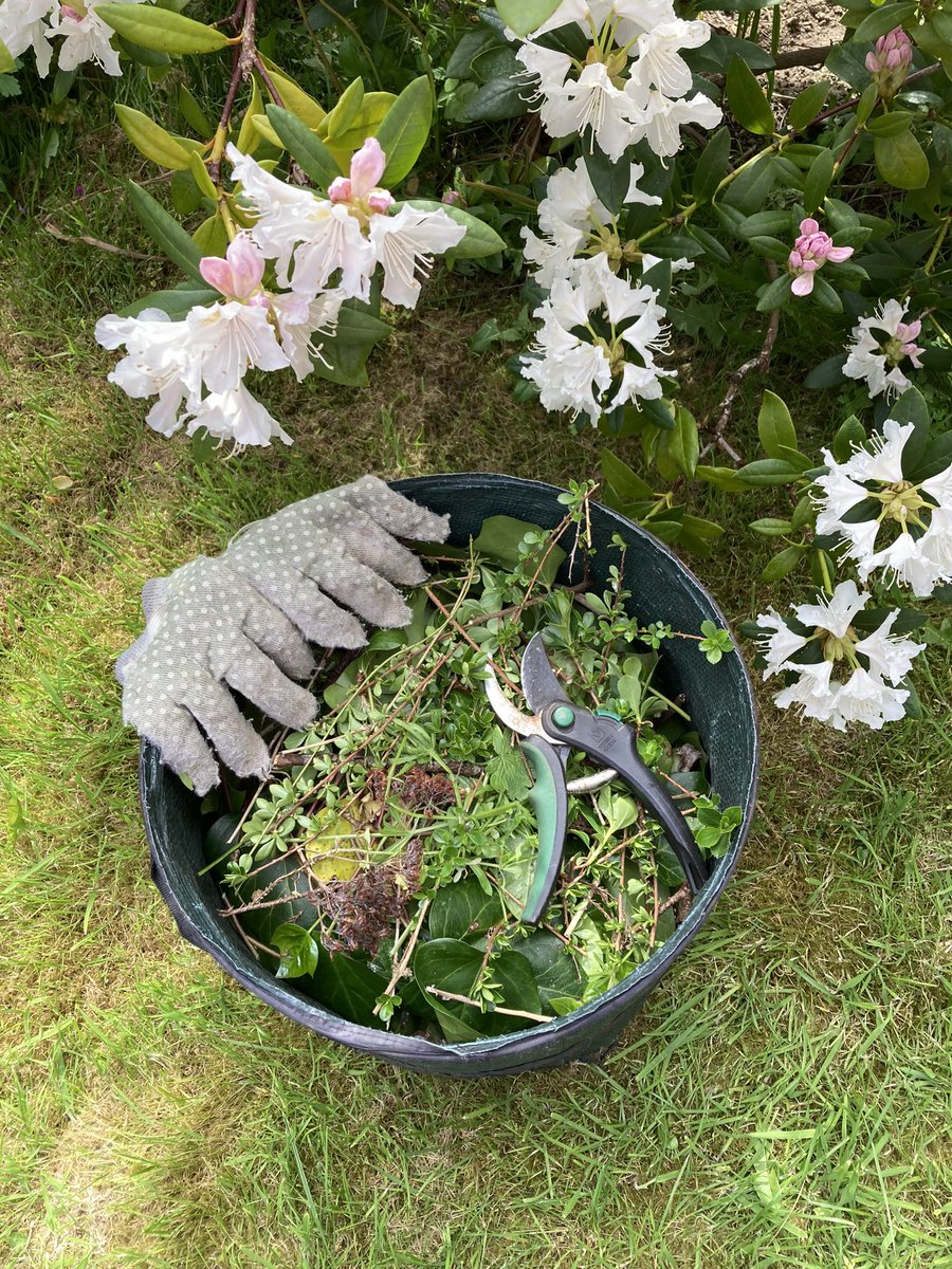 The Remains of the Day! 😌
It was so lovely to enjoy some fine dry weather… 😊
And to be able to tackle some of our long overdue gardening jobs… ☺️
☀️🦋🌿👩🏻‍🌾🌸🐦🌳🌼👨🏻‍🌾🌿🌺🐝 
#Pruning #Tidying #Weeding #InMyGarden #ConnectWithNature #SpringGardenLife #GardenWaste #Recycling ♻️
