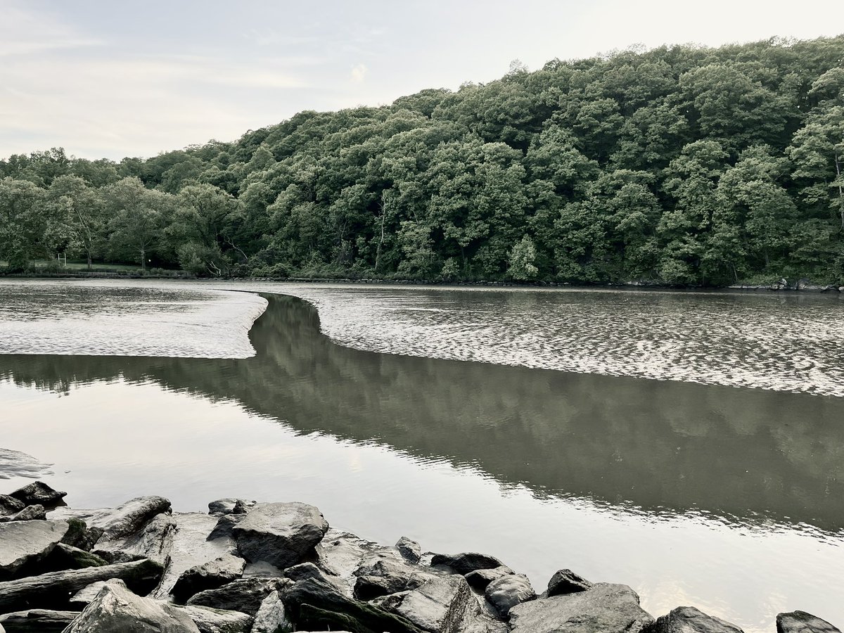 Exposures And Expositions #133: The Wading Place.