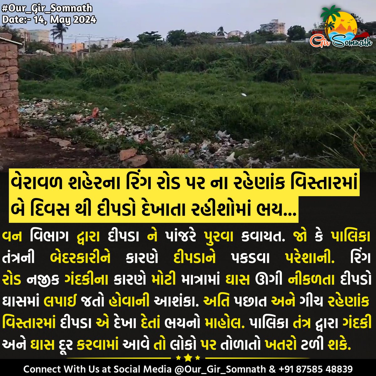 our_gir_somnath's tweet photo. વેરાવળ શહેરના રિંગ રોડ પર ના રહેણાંક વિસ્તારમાં બે દિવસ થી દીપડો દેખાતા રહીશોમાં ભય...
#our_gir_somnath #veraval #ringrod #dipdo #lepord https://t.co/WHFPJVCQfl