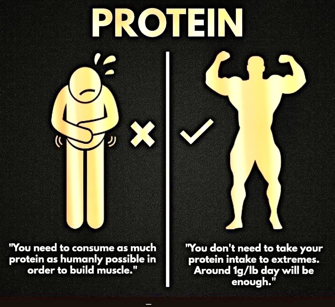 Top 5 Benefits of protein ?
 1.Muscle Growth and Repair: Protein provides the essential building blocks (amino acids) necessary for muscle tissue repair and growth after exercise or injury.

Thread 🧵