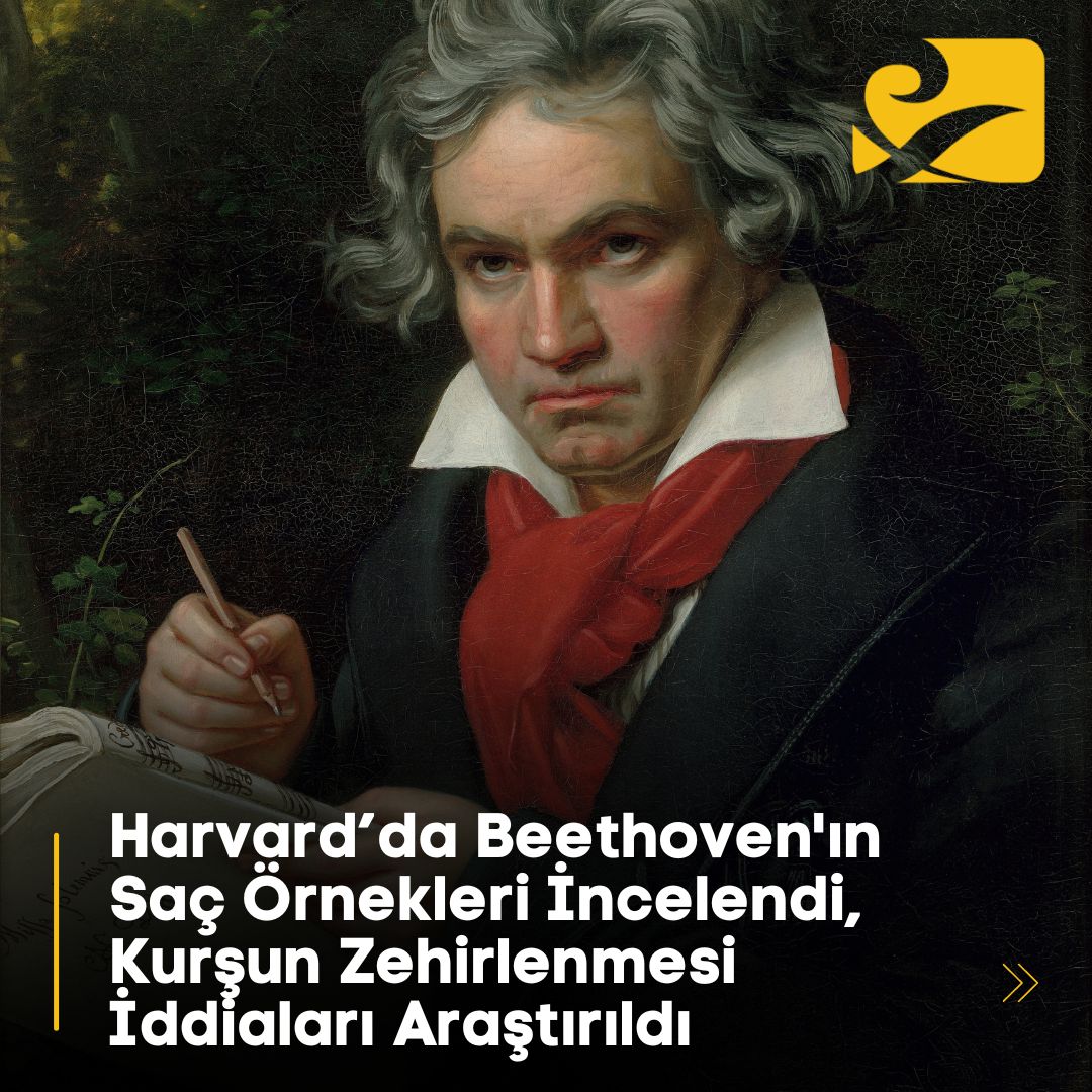 alaturkaonline: 🎼 Beethoven Gerçekten Kurşun Zehirlenmesi Geçirdi mi?
Bilim insanları, Beethoven'ın saç örneklerinde yüksek miktarda kurşun tespit etti, ancak ölüm nedeninin karaciğer rahatsızlığı olduğunu belirtti.
#Beethoven #KurşunZehirlenmesi #Bilim…