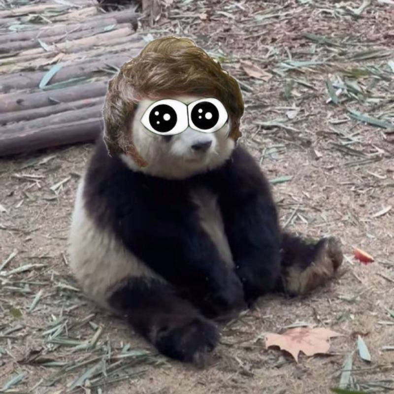 <a href="/inversebrah/">smolting (wassie, verse)</a> Smol Need check this one. 

Smol will like 🐼⚡️🐼⚡️

<a href="/turbopanda_sol/">Turbo Panda</a>