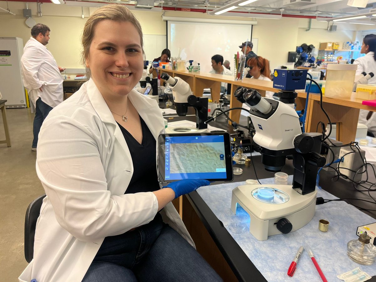 JMLection's tweet image. Really enjoying having iPads connected to our @zeiss_micro microscopes to facilitate learning here at FIR @FIRbees @MBLScience #FIRbee