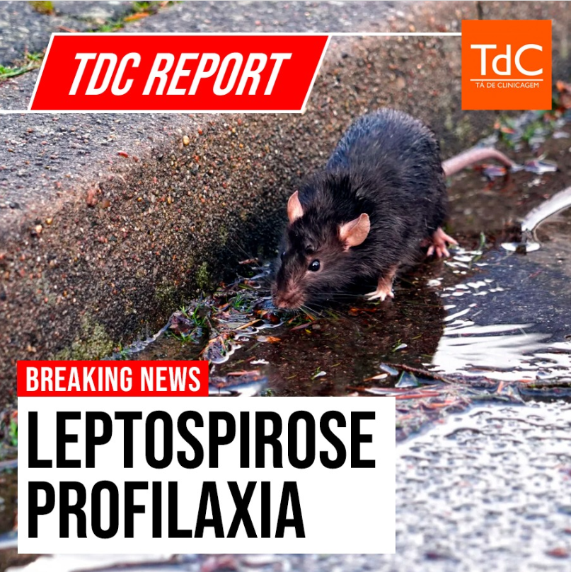 tadeclinicagem's tweet photo. 🚨🚨 TdC Report!🚨🚨

Episódio importante após os eventos climáticos no Rio Grande do Sul. O que as sociedades e evidências dizem sobre profilaxia de leptospirose? Confira nesse episódio.

Compartilhe esse episódio e faça sua doação para continuar ajudando a população do RS. https://t.co/HyxUQdLYZL
