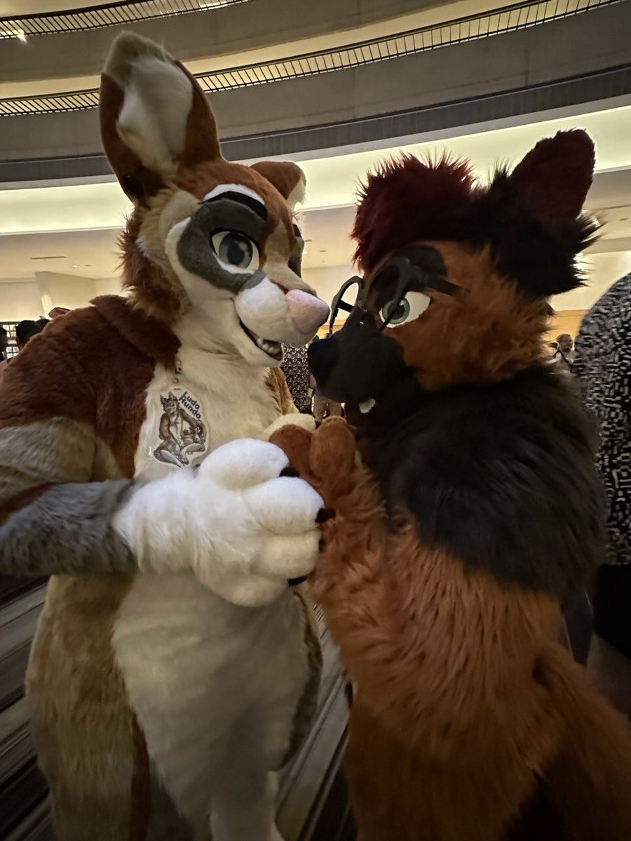 It looks like @FlumeFusky and I are hatching a plan, according to him 😂 #FWA #FWA24 #Fursuit #furryweekendatlanta