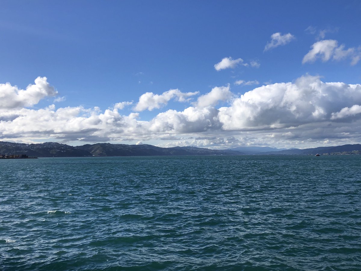 Great to be back in beautiful Wellington. I’ll be talking to @noellevivien about Hagstone this evening in association with @verbwellington. @HarperNZ @ClaireMabey Tickets: verbwellington.nz/events/sinead-…