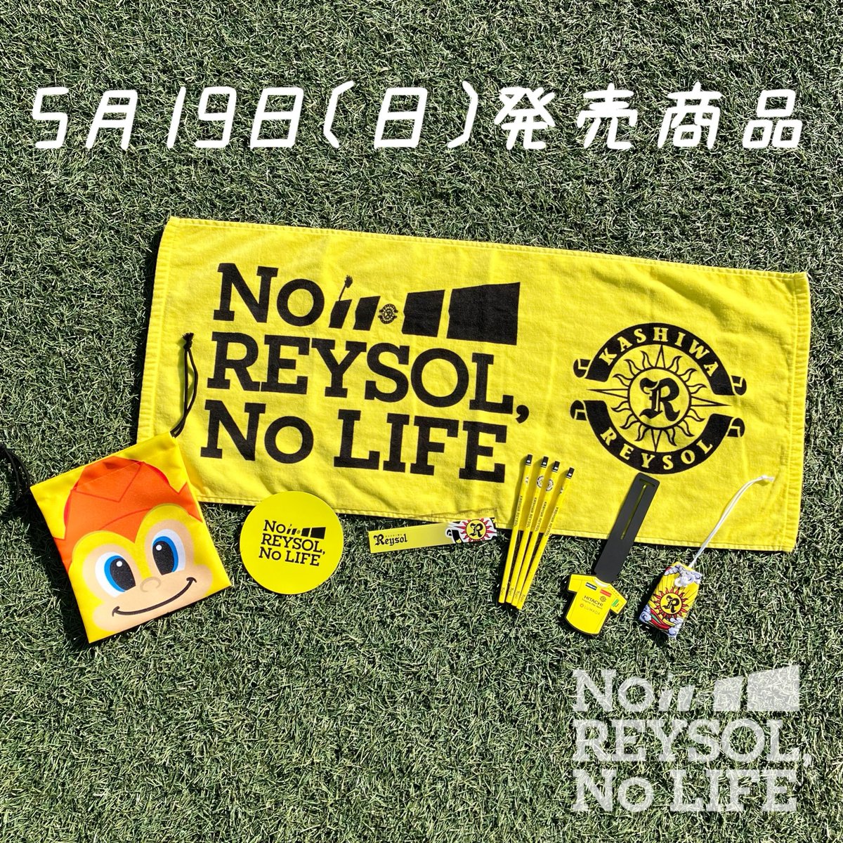 柏レイソルOFFICIAL☀ on X: 