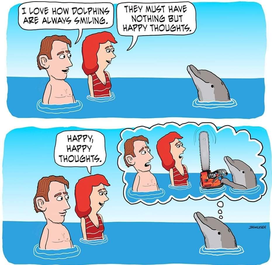 I always suspected the dolphins were hiding something