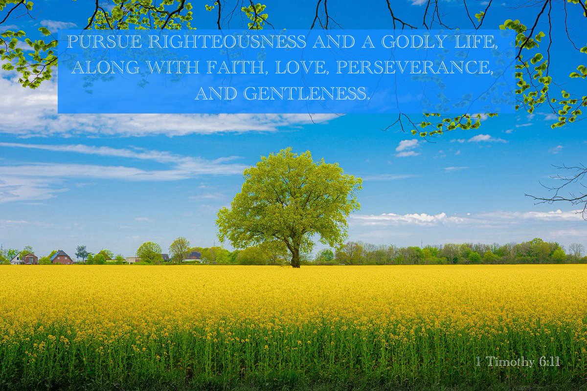 Pursue Righteousness and a Godly life, Along with faith, love, perseverance, and gentleness. 1 Timothy 6:33