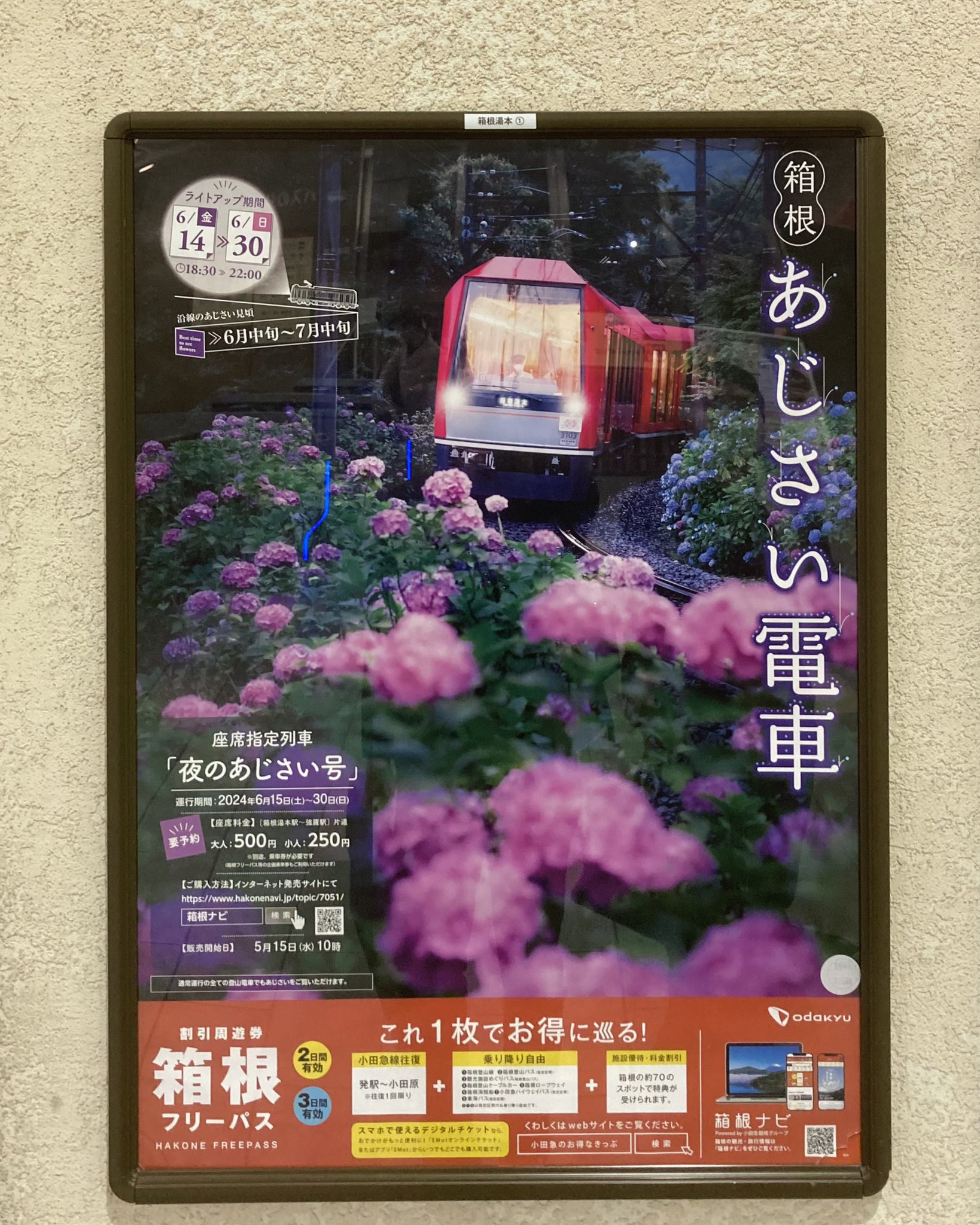 【鉄道部品】箱根登山鉄道 あじさい電車宣伝用B3ポスター 鉄道部品】箱根登山鉄道 あじさい電車宣伝用B3ポスター｜Yahoo