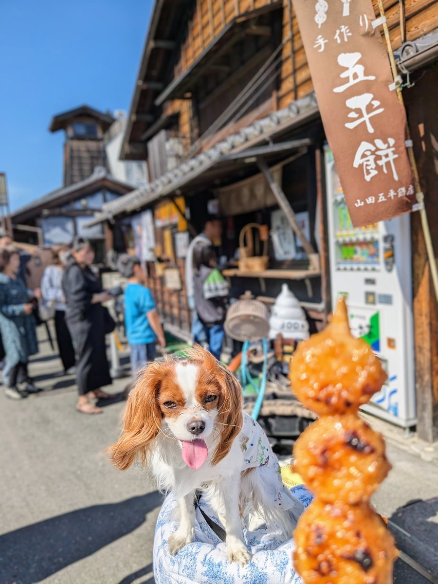 犬山城下町🏯三光稲荷神社⛩️