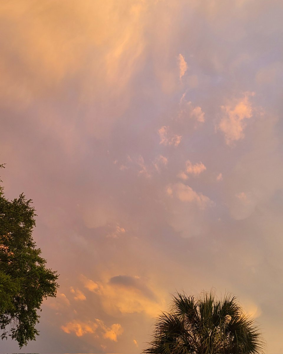 Sunset clouds after the rain 🧡

#sunsetphotography #sunset #sky #SunsetxVibes #clouds #trees #NaturePhotography #NatureLover #nature #Florida #weather #Rain #storms #photooftheday #picoftheday #StormHour #ThePhotoHour #springtime #SpringVibes #spring #photography