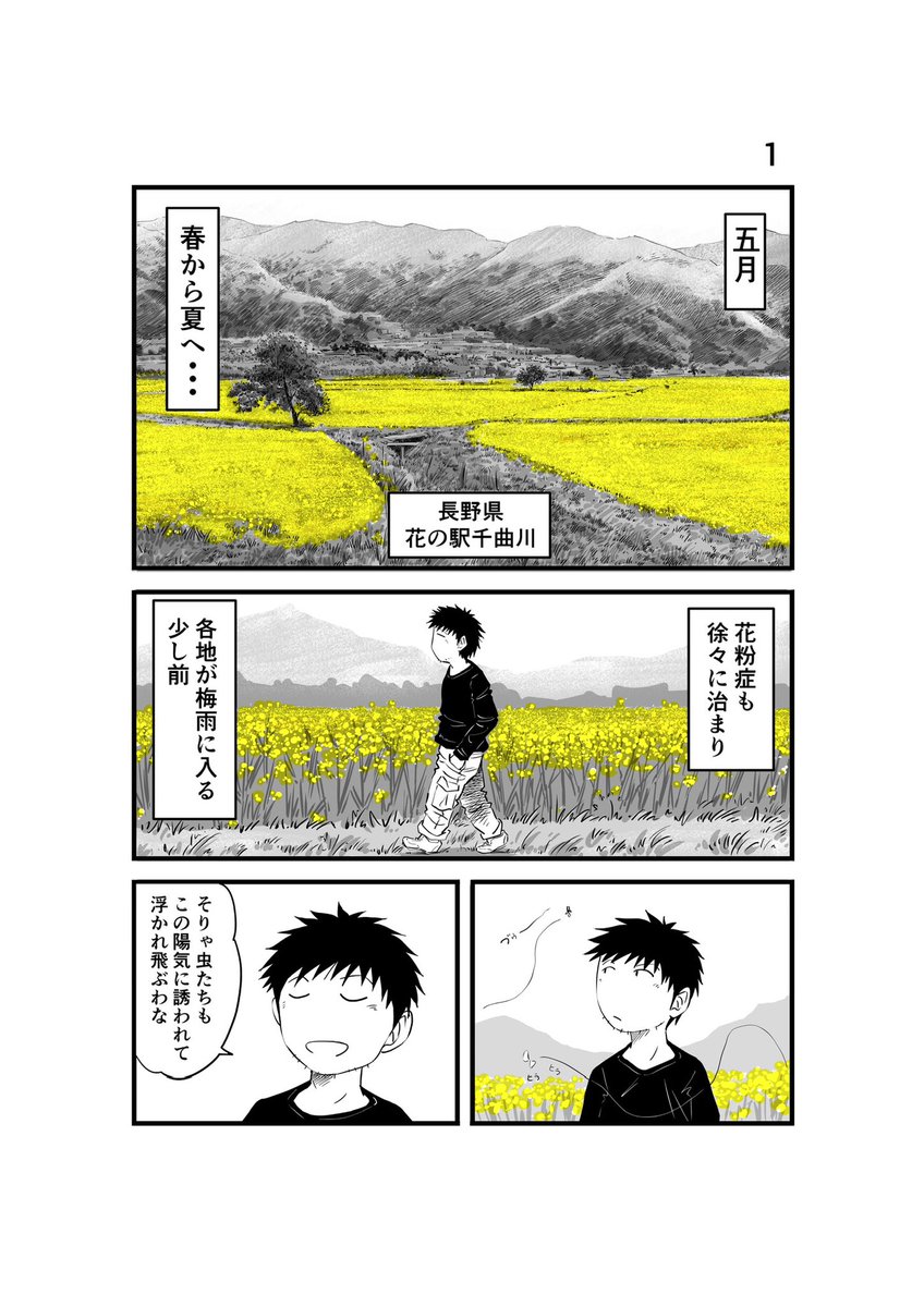 #離婚して車中泊になりました 115
#車中泊 #エッセイ漫画 #昆虫 