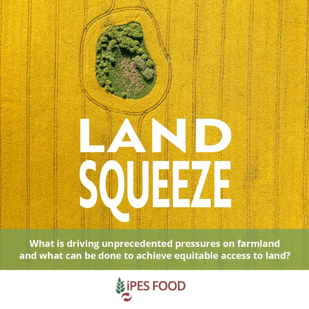 ＮＥＷ ＲＥＰＯＲＴ || ＬＡＮＤ ＳＱＵＥＥＺＥ What is driving unprecedented pressures on farmland and what can be done to achieve equitable access to land? New @IPESfood report highlights a critical challenge in our #foodsystems: the alarming concentration of #farmland…