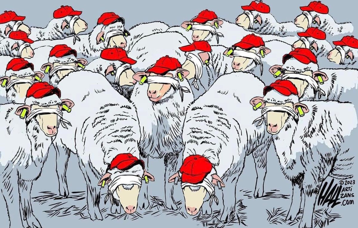 The MAGA't flock of DonTheCon.