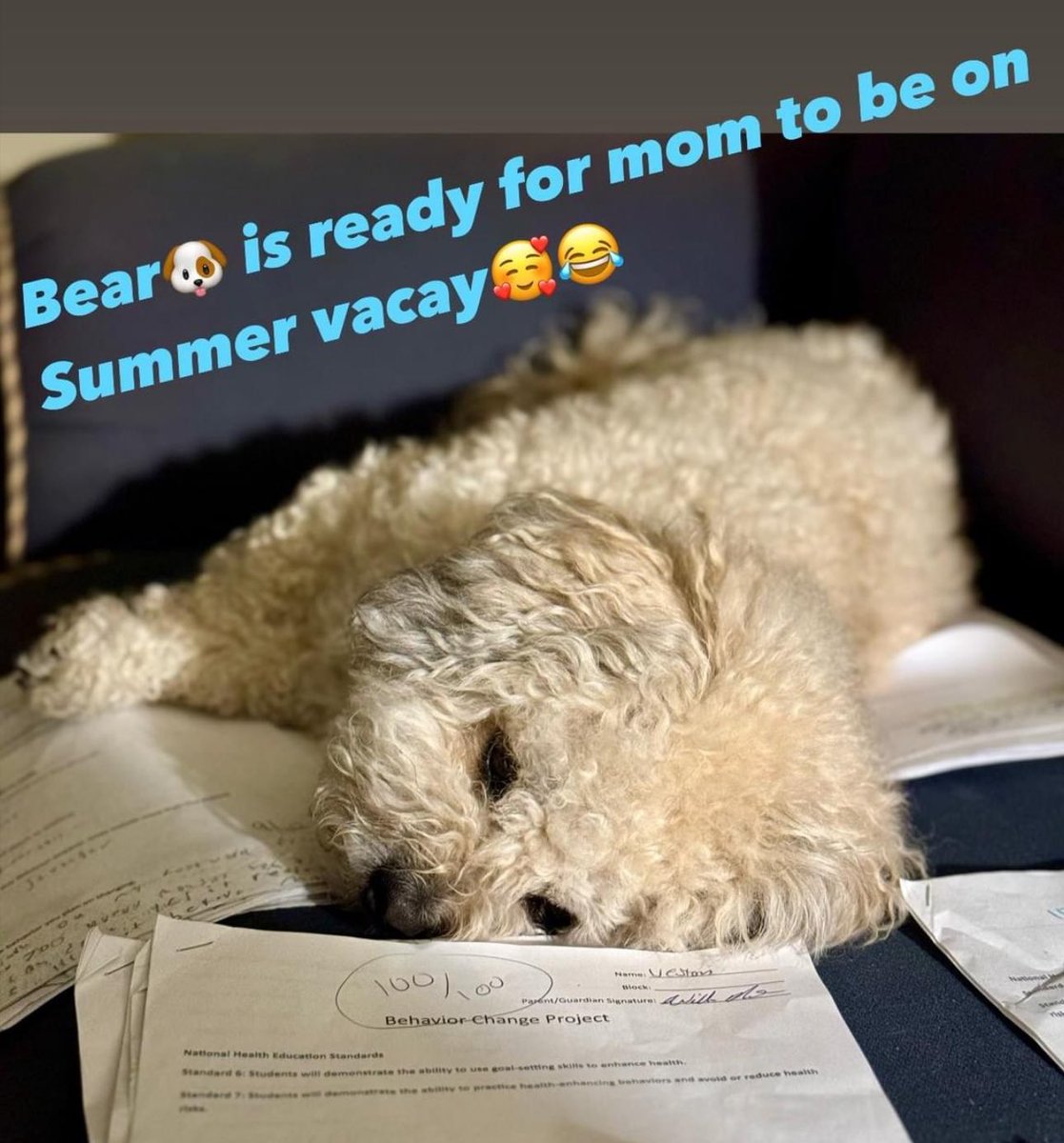 annaforcelledo's tweet image. Bear: “Mom, are you finished with grades yet? How many more days??! I’m ready for Summer vacay🐶🥰❤️”
#OrganizationIsKey
#BearOfficialCountdown😂
#SingleDigits😍
#WereAllReady💁‍♀️🌞❤️