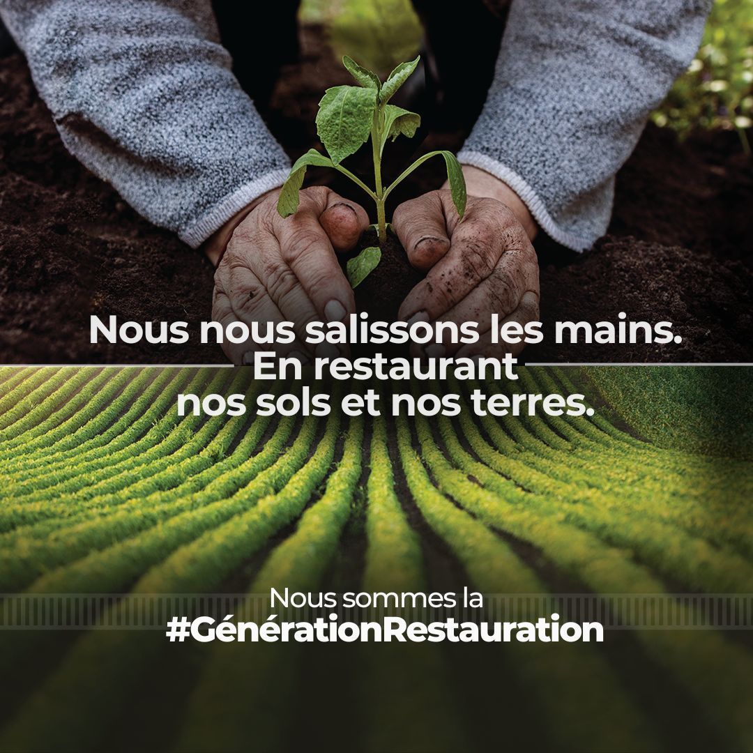 La #biodiversité des sols est le fondement de la vie humaine❗️ Faites partie de la #GénérationRestauration pour prévenir, arrêter et inverser la dégradation des écosystèmes dans le monde entier. 👉 buff.ly/3y8Dlv4. @UNEP_Francais @FAOenFrancais