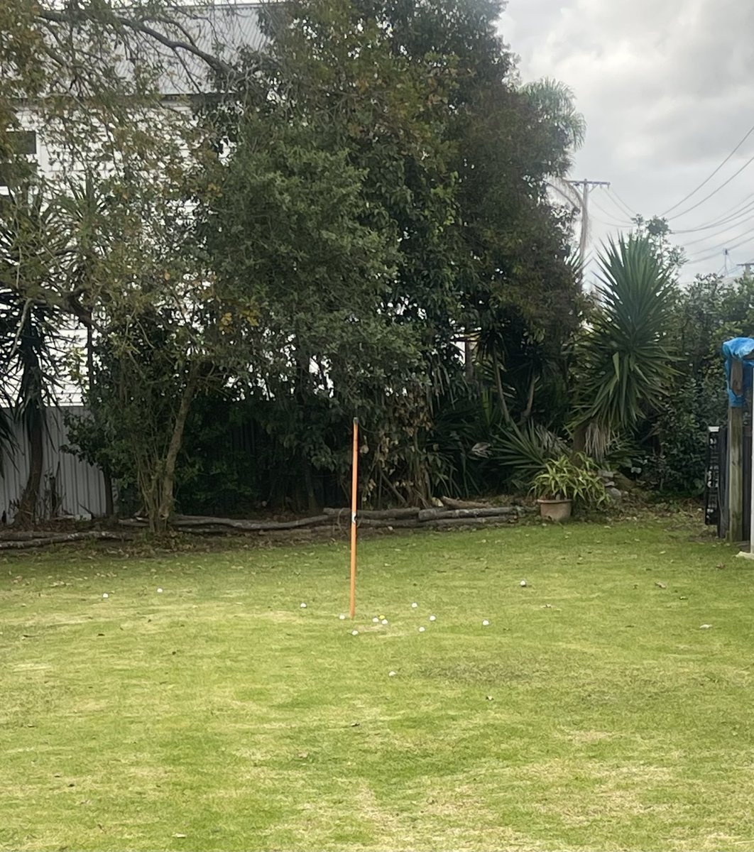 tauhenare's tweet image. Training hard for the big whanau Golf game on Friday. I know they are out to get me, the pressure is high but I’m made of sterner stuff. Come get some if you can handle it. #LetTheBattleBegin @arakopeka Pretenders