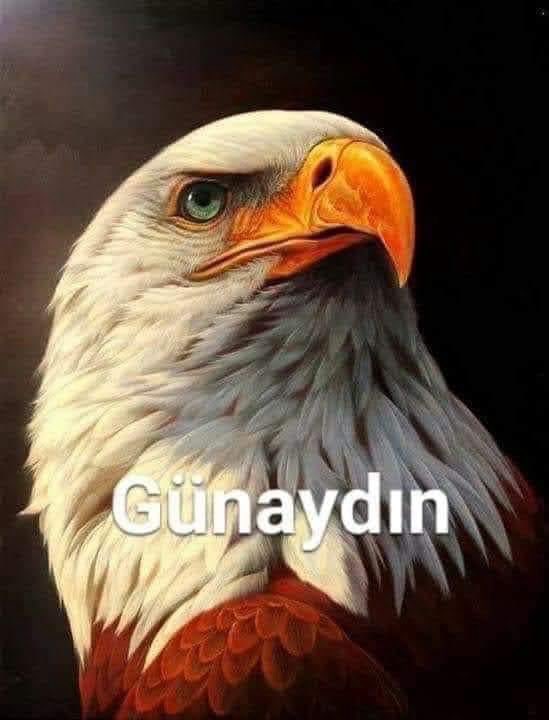 #Günaydın Büyük BEŞİKTAŞ Ailem 🖤🤍🦅