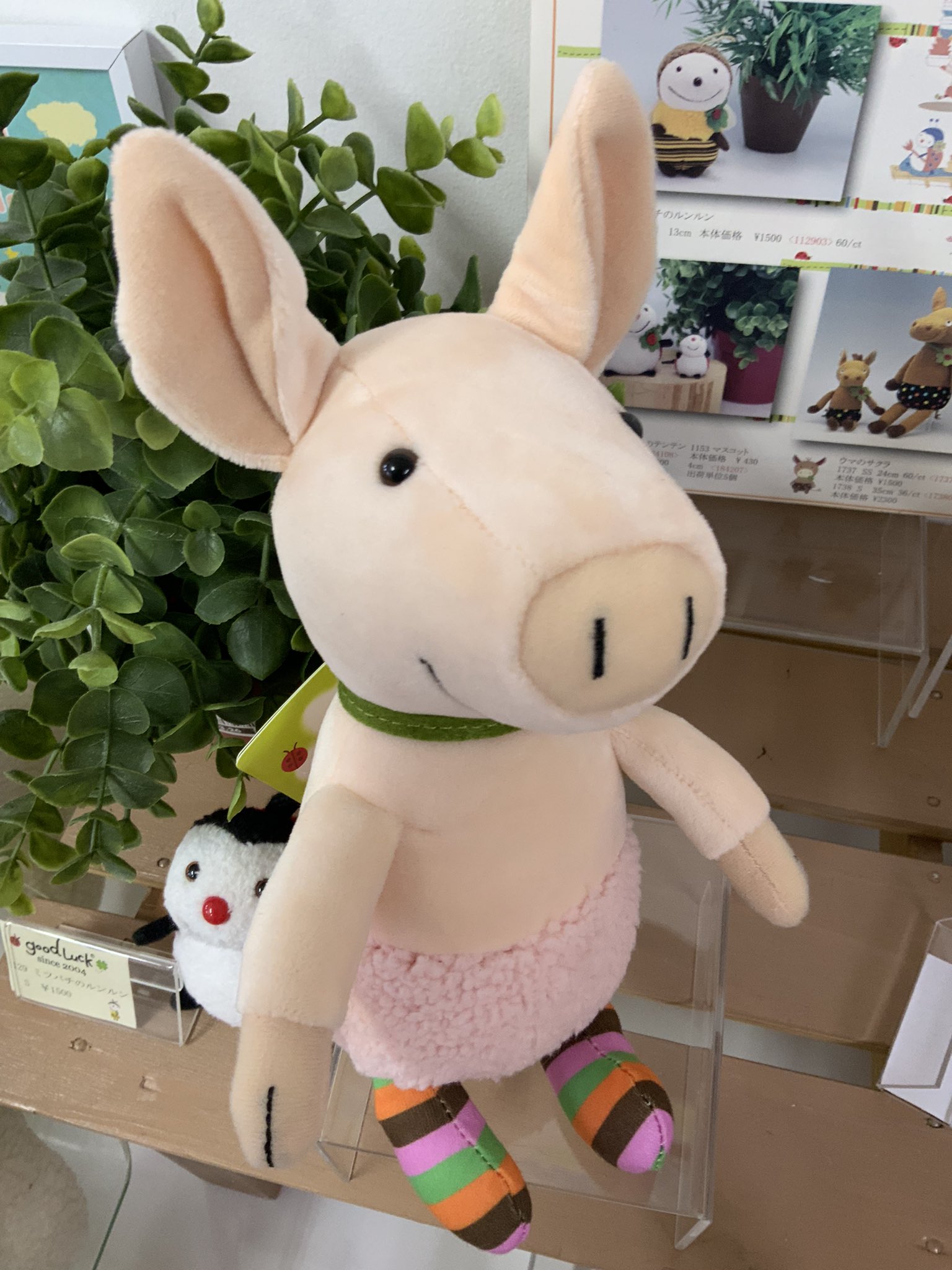 ☆レア《とんさま・ぶたぬいぐるみ・ブタぬいぐるみ・ローズとんさま