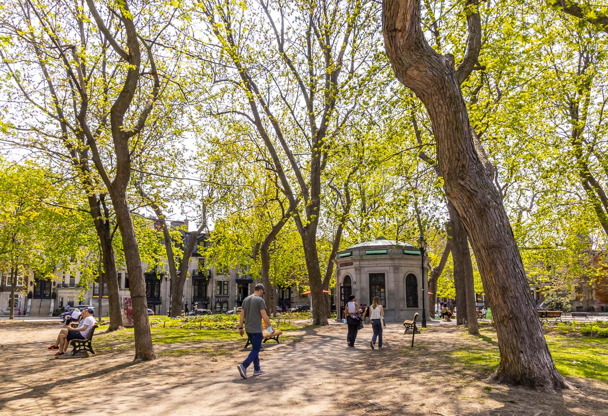 Les arbres se parent de vert, comme pour célébrer l'arrivée du beau temps 🍃☀️

📷 @evablue #Montréal #MTLmoments #PhotoduJour