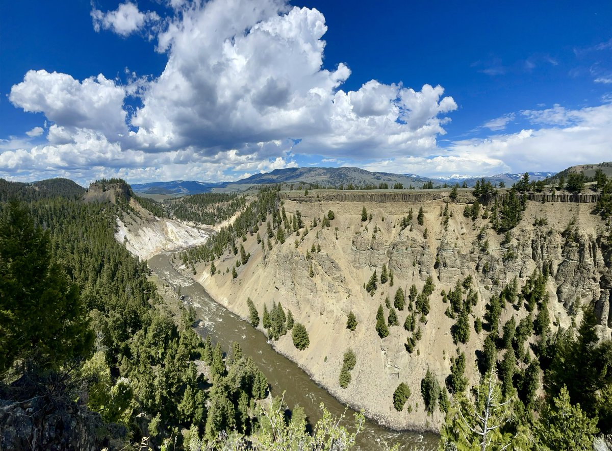 Today’s view of the Yellowstone River from Calcite Springs in Yellowstone National Park.