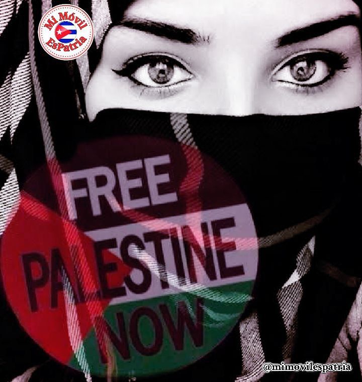 ¿Cuántos muertos más se necesitan para frenar un genocidio? Urge detener la barbarie contra el pueblo palestino. Israel va por el exterminio. #FreePalestine