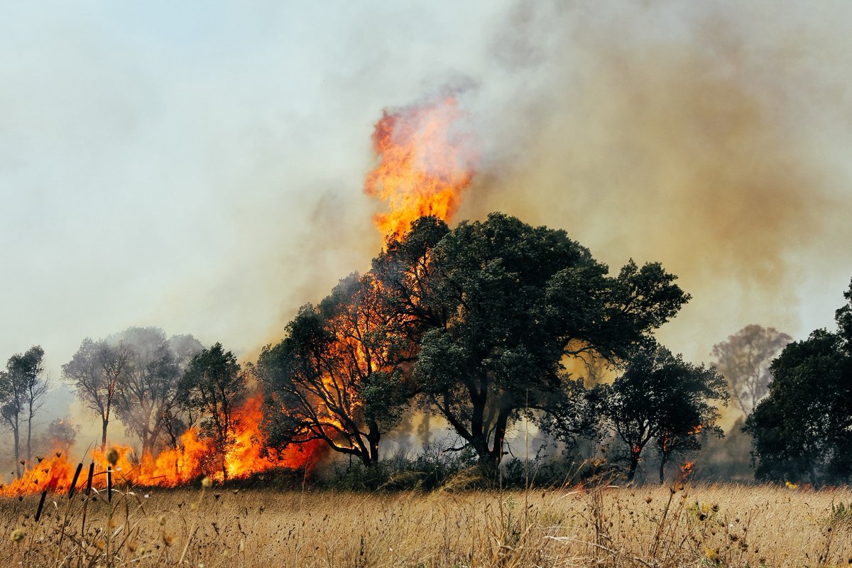 Climate change threatens health in Europe: Urgent action needed to protect vulnerable populations 🌍🏥🔥 news-medical.net/news/20240514/… #ClimateChange #Health #PublicHealth #Europe #Environmental #HeatStress #FoodSecurity #DiseaseVectors #Inequality @TheLancetPH