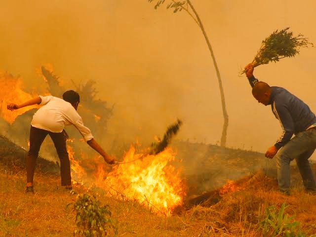 Quick question: Did you know that climate change is just not about climate? 
It is coupled with  Warmer temperatures that increase the spread of diseases, heat stress, and other health issues. Read here for more 👇
cdc.gov/climateandheal…