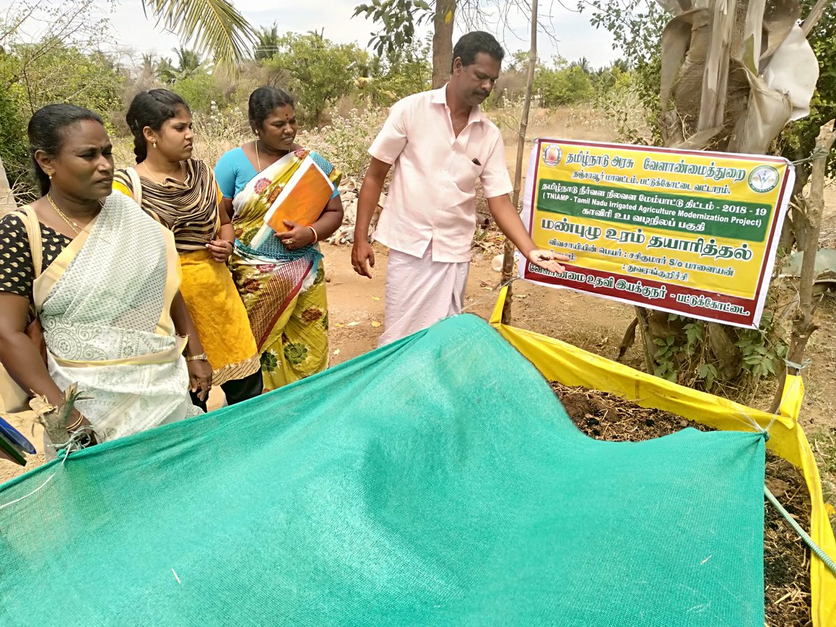 Agriculture Spl
Sasikumar , a progressive farmer hails from the Thuvarakurichi village of Pattukottai in Thanjavur district of Tamilnadu. Sasikumar was initially provided with the support of Rs.5000 which consists of Training Kit Rs.1000, under TNIAM Project.