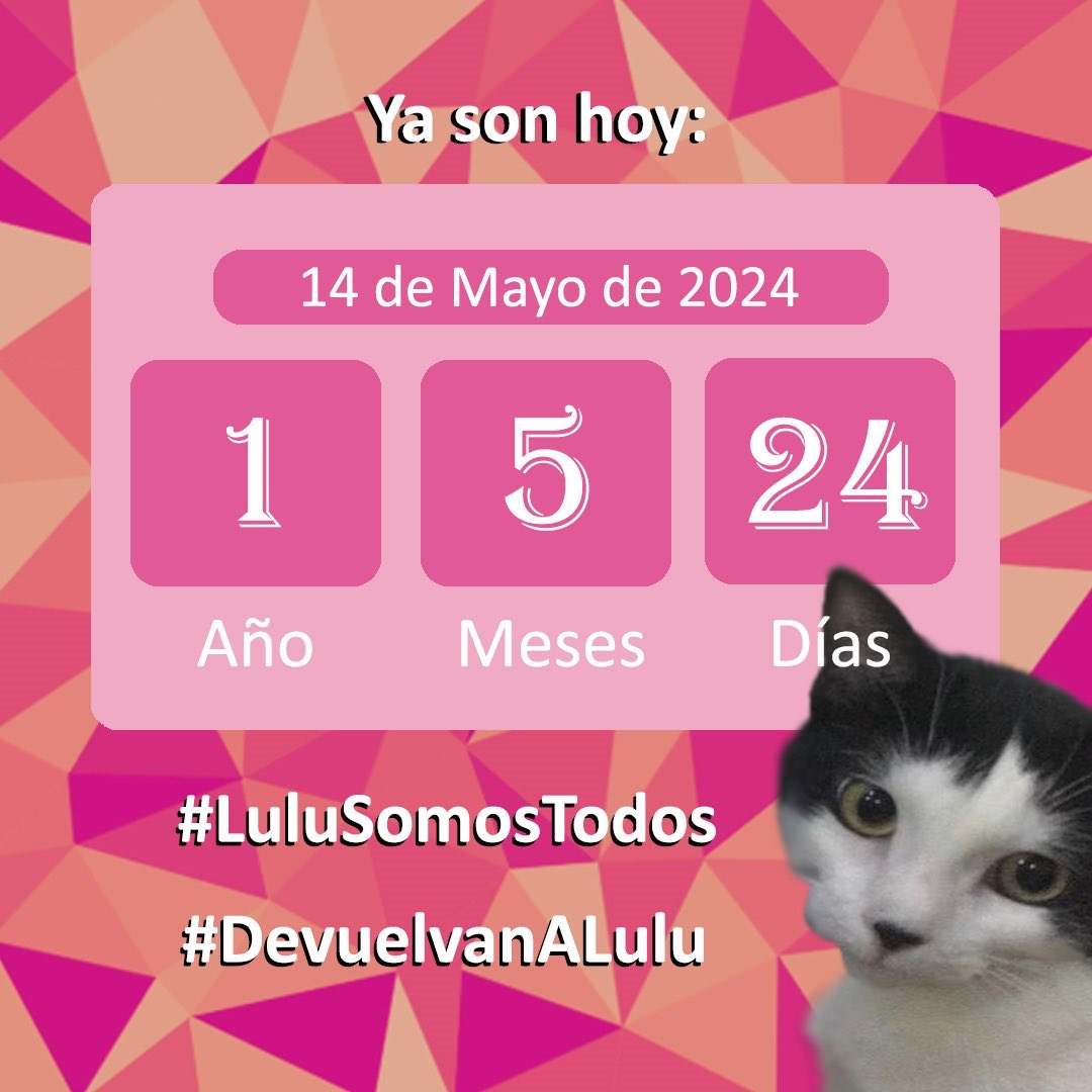 #14May Cada apoyo, desde un ❤️ hasta una cita, se convierte en un clamor único por tu regreso, #LuluEsDeTodos. DIOS los toma y en su misericordia, hará #LuluEsElMilagro. La #Justicia mostrará su verdad, #Respeto y #Vida por todos. #Seguimos, #LuluSomosTodos