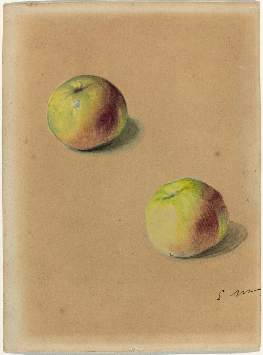 Two apples_Édouard Manet

#ÉdouardManet #art