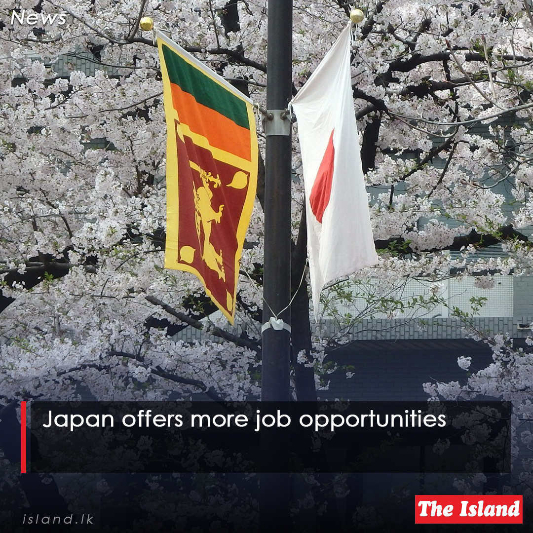 tinyurl.com/4fxkttb3

Japan offers more job opportunities

#TheIsland #TheIslandnewspaper #JapaneseEmbassyinSriLanka #jobopportunities